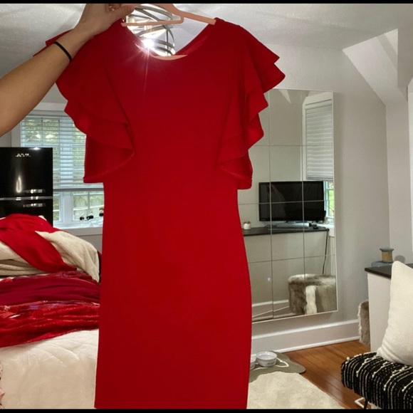 Windsor dress - Picture 4 of 4